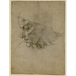 Studio per la testa della Sibilla Cumana - Michelangelo